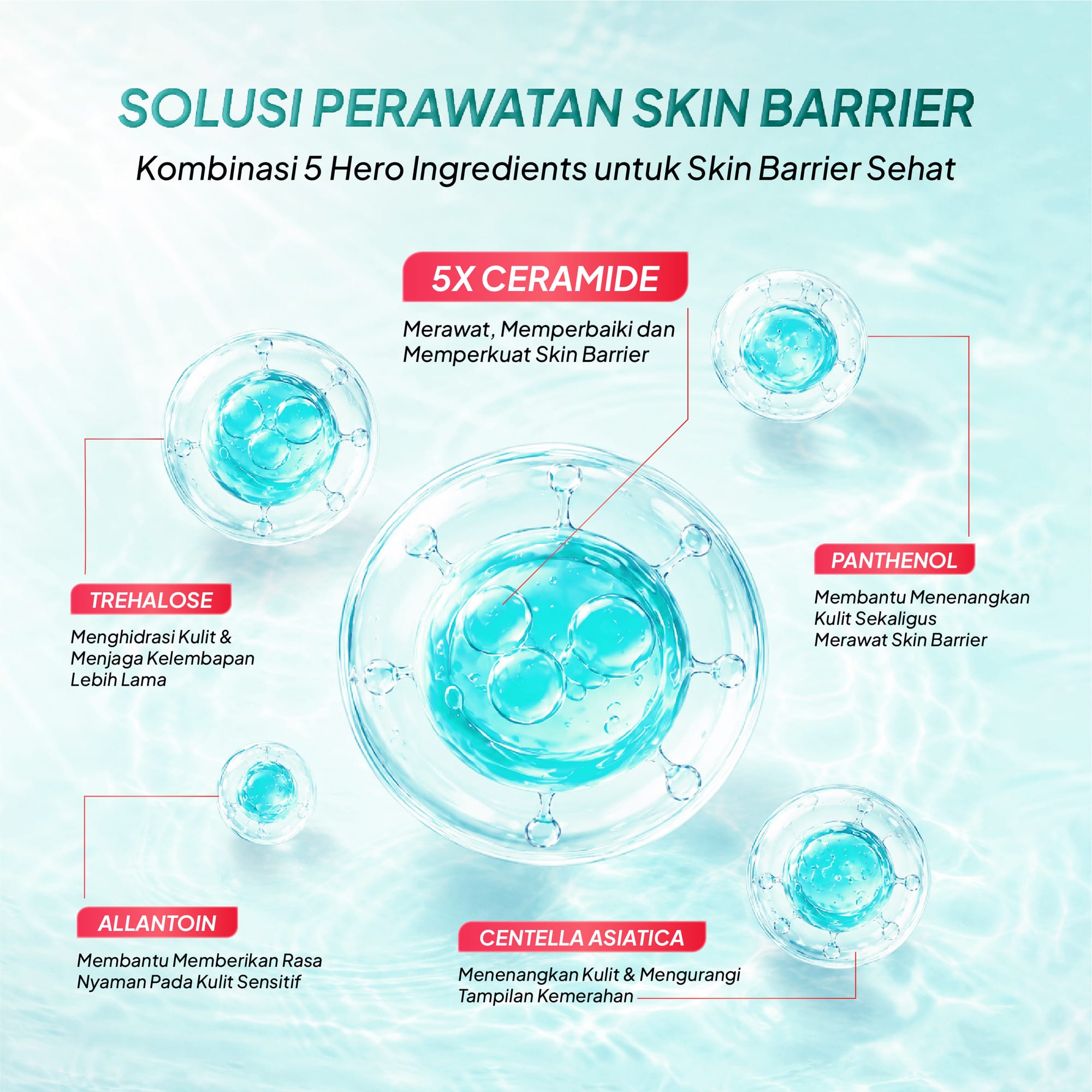 KEZIA Beauty - Paket 5X CERAMIDE Skin Barrier Series (FREE 1 CLOUD PADS+POUCH)